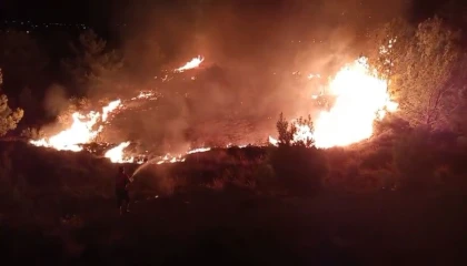 Düğün sırasında çalılık alanda yangın çıktı: Ormana sıçramadan söndürüldü