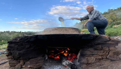 Ekinözünde bağ bozumu sonrası pekmez telaşı