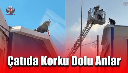Elindeki bıçakla korku dolu anlar yaşatan şahsı ekipler ikna etti