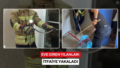 Erzin ve İskenderunda eve giren yılanları itfaiye yakaladı