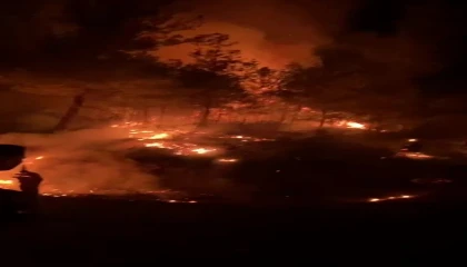 Gazipaşada ormanlık alanda yangın