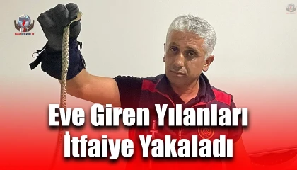 Hatayda eve giren yılanları itfaiye yakaladı