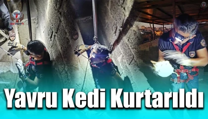 Hatayda havalandırma boşluğuna düşen kedi kurtarıldı