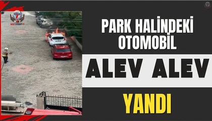 Hatayda park halindeki otomobil alev alev yandı