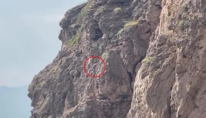 Herkes falezlerde mahsur kaldığını düşünürken gerçek apayrı çıktı