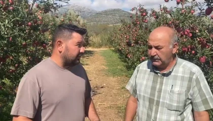 Ispartada bir gecede 4 bin 200 ton elma doluya teslim oldu, zarar 170 milyon TL