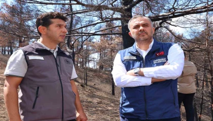 Kahramanmaraşta yanan ormanlık alanlar fidanlarla buluşturulacak