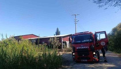 Kamışlık alanda başlayan yangın gıda toptancı deposuna sıçradı