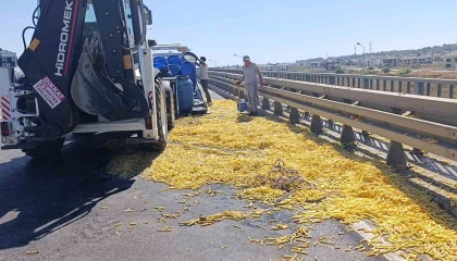 Kamyonet bariyerlere çarptı, kilolarca patates yola saçıldı