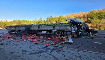 Karpuz yüklü tır otoyolda devrildi