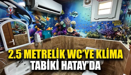 Kavurucu sıcağa karşı işletmesinin 2 buçuk metrekarelik tuvaletine klima taktırdı
