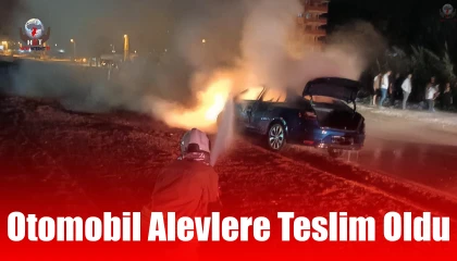 Kaza yapan otomobil alevlere teslim oldu