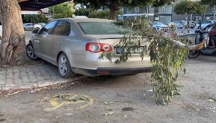 Kırılan ağaç dalı otomobile zarar verdi