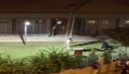 Konserde gençleri darbeden özel güvenlikçi tutuklandı