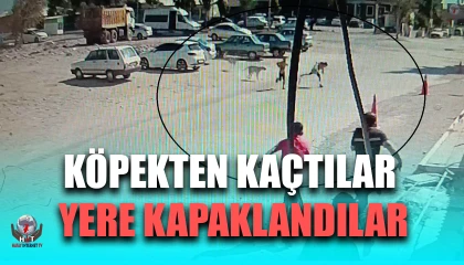 Köpeklerden kaçarken yere yığılan çocukların yardımına vatandaşlar yetişti