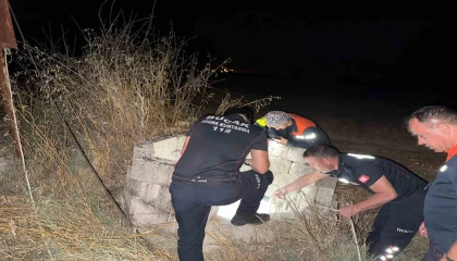 Kuyuya düşen kedi itfaiye tarafından kurtarıldı