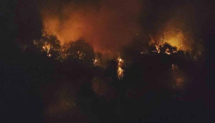 Manavgatta ırmak kenarındaki yangın korkuttu