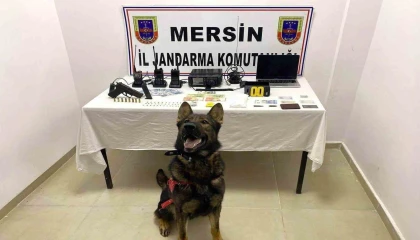Mersinde uyuşturucu operasyonu