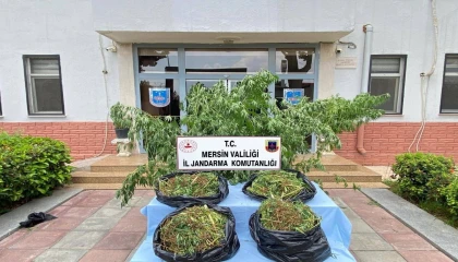 Mersinde zehir tacirlerine darbe