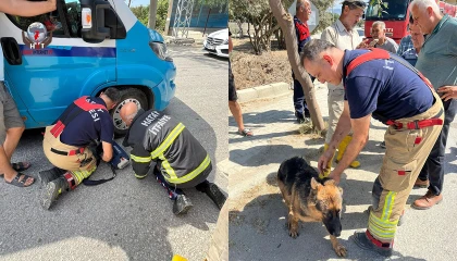 Minibüsün altında sıkışıp mahsur kalan köpeği itfaiye kurtardı