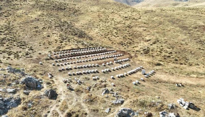 Nurhakın Tahtalı Yaylasında bal sağımı