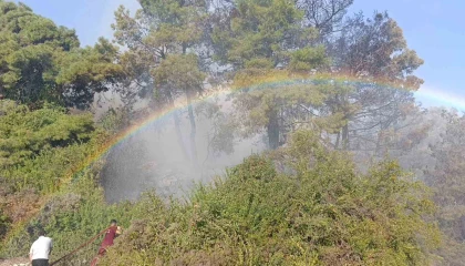 Orman yangınında uçaktan atılan su gökkuşağı oluşturdu