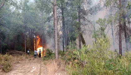 Osmaniyede orman yangını başladı