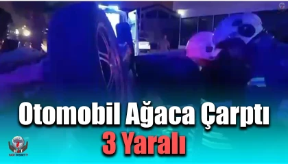 Otomobil ağaca çarptı: 3 yaralı