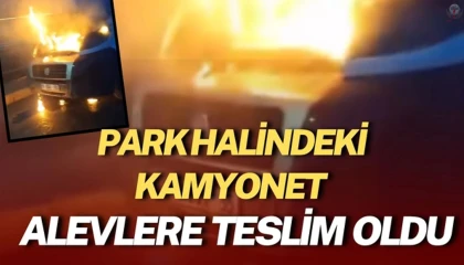 Park halindeki pikap alevlere teslim oldu
