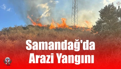 Samandağda arazi yangını