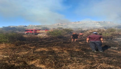 Serikte makilik ve zeytinlik alanda çıkan yangın 1 saatte kontrol altına alındı