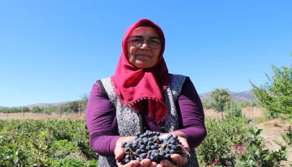 Şifa bulduğu meyvenin üretimi için şehir değiştirdi, 2009 fidanla şifa dağıtacak
