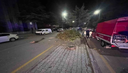 Takla atan otomobilden çıkartılan sürücünün ilk sözü: Abi bir sigara verin de içelim