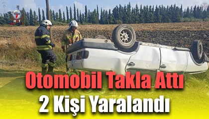 Takla atarak ters dönen otomobildeki 2 kişi yaralandı