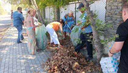 Turistler yangın sonrası otel çevresindeki kurumuş ot ve yaprakları temizledi