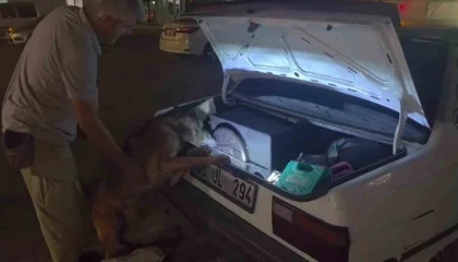 Ucuza bulunca almış: Hoparlörden 2 bine yakın uyuşturucu hap çıktı