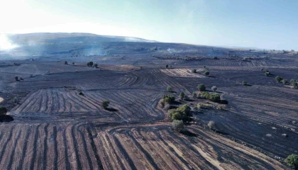 Uzmanı uyardı: Orman yangınlarına karşı topraktaki nem kapasitesini arttırmalıyız