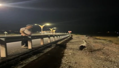 Yaralı leyleklere Başkan Çenetten şefkat eli