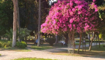 Adanada yazdan kalma günler yaşanıyor