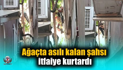 Ağaçta asılı kalan şahsı itfaiye kurtardı