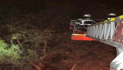 Ağaçta sıkışan kediyi itfaiye kurtardı