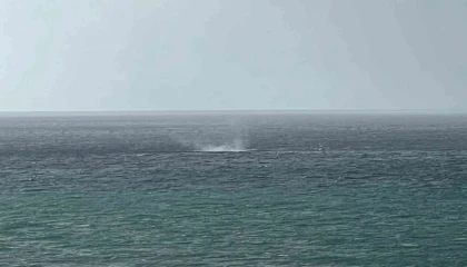 Alanya açıklarında oluşan hortum korkuttu