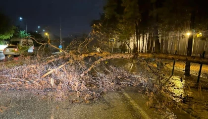 Alanya Belediyesi olumsuz hava şartlarına karşı teyakkuzda