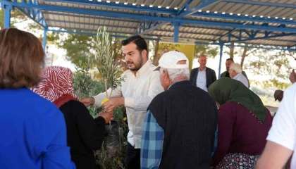 Alanyadaki yangın bölgesinde 3 bin 400 zeytin fidanı bahçe sahiplerine dağıtıldı