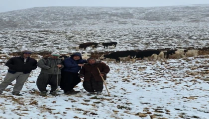 Aniden kar bastırınca yaylada mahsur kalan kadın kurtarıldı