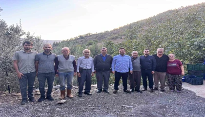 Antalyada coğrafi işaretli çekirdeksiz narın hasadı başladı