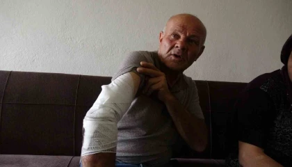 Beslemek istediği köpek saldırdı, koluna 10dan fazla dikiş atıldı