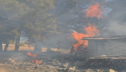 Bucakta odunlukta çıkan yangın korkuttu