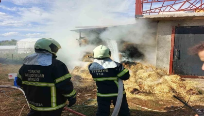 Bucakta ot balyaları yandı