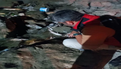 Ceyhan Nehrindeki kirlilikle ilgili numune alındı